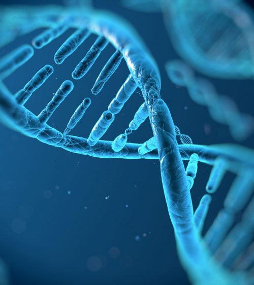 stem-cell-therapy-dna-repair